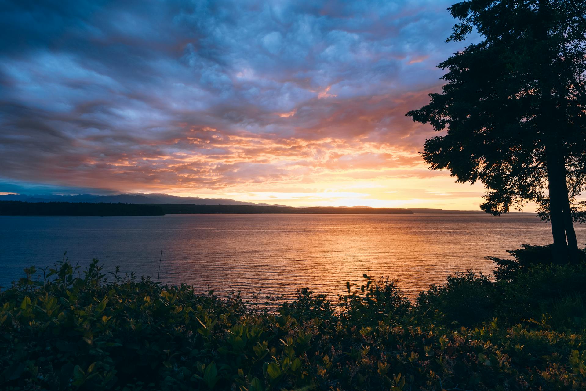 Puget Sound waterfront at Bainbridge Island
